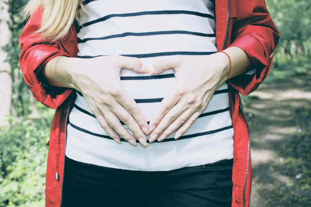 christmas pregnancy announcement photoshoot